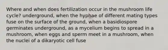 Where and when does fertilization occur in the mushroom life cycle? underground, when the hyphae of different mating types fuse on the surface of the ground, when a basidiospore germinates underground, as a mycelium begins to spread in a mushroom, when eggs and sperm meet in a mushroom, when the nuclei of a dikaryotic cell fuse