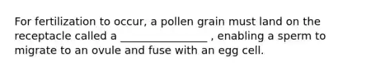 For fertilization to occur, a pollen grain must land on the receptacle called a ________________ , enabling a sperm to migrate to an ovule and fuse with an egg cell.