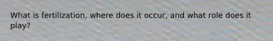 What is fertilization, where does it occur, and what role does it play?