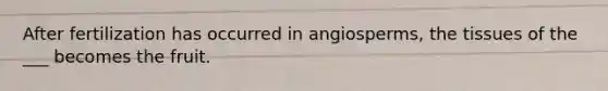 After fertilization has occurred in angiosperms, the tissues of the ___ becomes the fruit.