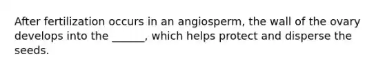 After fertilization occurs in an angiosperm, the wall of the ovary develops into the ______, which helps protect and disperse the seeds.