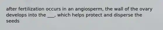 after fertilization occurs in an angiosperm, the wall of the ovary develops into the ___, which helps protect and disperse the seeds