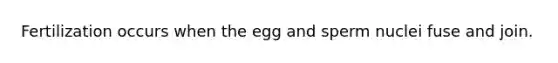 Fertilization occurs when the egg and sperm nuclei fuse and join.