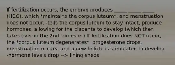 If fertilization occurs, the embryo produces _____ _____ _____ (HCG), which *maintains the corpus luteum*, and menstruation does not occur. -tells the corpus luteum to stay intact, produce hormones, allowing for the placenta to develop (which then takes over in the 2nd trimester) If fertilization does NOT occur, the *corpus luteum degenerates*, progesterone drops, menstruation occurs, and a new follicle is stimulated to develop. -hormone levels drop --> lining sheds