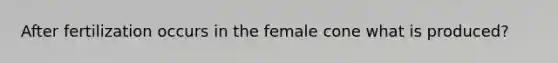 After fertilization occurs in the female cone what is produced?