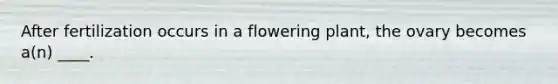 After fertilization occurs in a flowering plant, the ovary becomes a(n) ____.