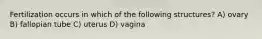 Fertilization occurs in which of the following structures? A) ovary B) fallopian tube C) uterus D) vagina