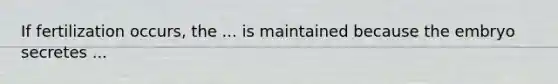 If fertilization occurs, the ... is maintained because the embryo secretes ...