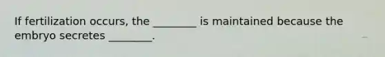 If fertilization occurs, the ________ is maintained because the embryo secretes ________.