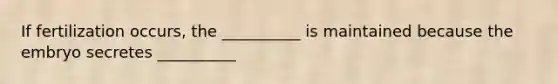 If fertilization occurs, the __________ is maintained because the embryo secretes __________