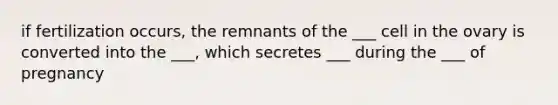 if fertilization occurs, the remnants of the ___ cell in the ovary is converted into the ___, which secretes ___ during the ___ of pregnancy