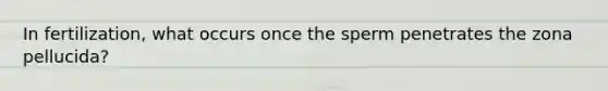 In fertilization, what occurs once the sperm penetrates the zona pellucida?