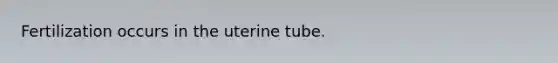 Fertilization occurs in the uterine tube.