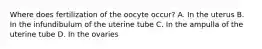 Where does fertilization of the oocyte occur? A. In the uterus B. In the infundibulum of the uterine tube C. In the ampulla of the uterine tube D. In the ovaries