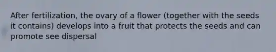 After fertilization, the ovary of a flower (together with the seeds it contains) develops into a fruit that protects the seeds and can promote see dispersal