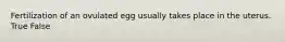 Fertilization of an ovulated egg usually takes place in the uterus. True False