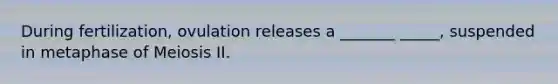 During fertilization, ovulation releases a _______ _____, suspended in metaphase of Meiosis II.