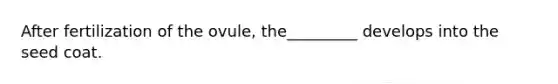 After fertilization of the ovule, the_________ develops into the seed coat.