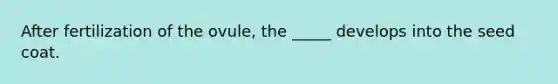 After fertilization of the ovule, the _____ develops into the seed coat.