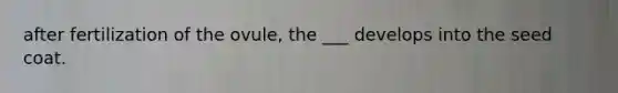 after fertilization of the ovule, the ___ develops into the seed coat.