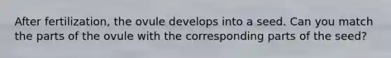 After fertilization, the ovule develops into a seed. Can you match the parts of the ovule with the corresponding parts of the seed?