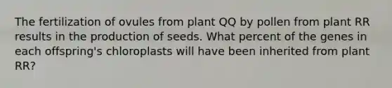 The fertilization of ovules from plant QQ by pollen from plant RR results in the production of seeds. What percent of the genes in each offspring's chloroplasts will have been inherited from plant RR?