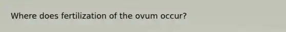 Where does fertilization of the ovum occur?