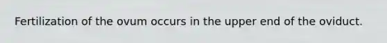 Fertilization of the ovum occurs in the upper end of the oviduct.