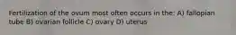 Fertilization of the ovum most often occurs in the: A) fallopian tube B) ovarian follicle C) ovary D) uterus