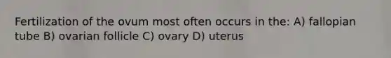 Fertilization of the ovum most often occurs in the: A) fallopian tube B) ovarian follicle C) ovary D) uterus