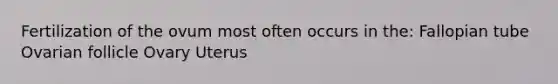 Fertilization of the ovum most often occurs in the: Fallopian tube Ovarian follicle Ovary Uterus