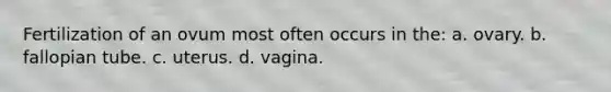 Fertilization of an ovum most often occurs in the: a. ovary. b. fallopian tube. c. uterus. d. vagina.