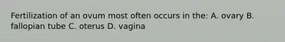 Fertilization of an ovum most often occurs in the: A. ovary B. fallopian tube C. oterus D. vagina