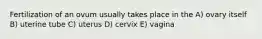 Fertilization of an ovum usually takes place in the A) ovary itself B) uterine tube C) uterus D) cervix E) vagina