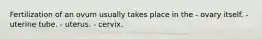 Fertilization of an ovum usually takes place in the - ovary itself. - uterine tube. - uterus. - cervix.