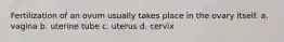 Fertilization of an ovum usually takes place in the ovary itself. a. vagina b. uterine tube c. uterus d. cervix