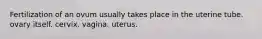 Fertilization of an ovum usually takes place in the uterine tube. ovary itself. cervix. vagina. uterus.