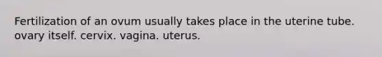 Fertilization of an ovum usually takes place in the uterine tube. ovary itself. cervix. vagina. uterus.