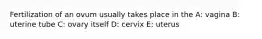 Fertilization of an ovum usually takes place in the A: vagina B: uterine tube C: ovary itself D: cervix E: uterus