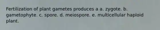 Fertilization of plant gametes produces a a. zygote. b. gametophyte. c. ​spore. d. meiospore. e. multicellular haploid plant.​