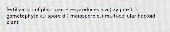 fertilization of plant gametes produces a a.) zygote b.) gametophyte c.) spore d.) meiospore e.) multi-cellular haploid plant