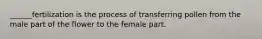 ______fertilization is the process of transferring pollen from the male part of the flower to the female part.