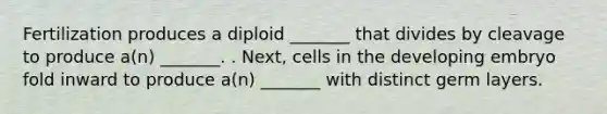 Fertilization produces a diploid _______ that divides by cleavage to produce a(n) _______. . Next, cells in the developing embryo fold inward to produce a(n) _______ with distinct germ layers.