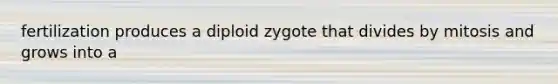 fertilization produces a diploid zygote that divides by mitosis and grows into a