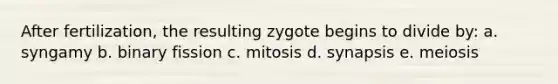 After fertilization, the resulting zygote begins to divide by: a. syngamy b. binary fission c. mitosis d. synapsis e. meiosis