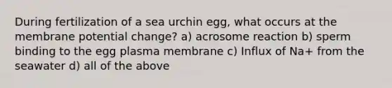 During fertilization of a sea urchin egg, what occurs at the membrane potential change? a) acrosome reaction b) sperm binding to the egg plasma membrane c) Influx of Na+ from the seawater d) all of the above