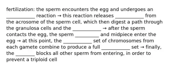 fertilization: the sperm encounters the egg and undergoes an ____________ reaction → this reaction releases ____________ from the acrosome of the sperm cell, which then digest a path through the granulosa cells and the ____________ → after the sperm contacts the egg, the sperm __________ and midpiece enter the egg → at this point, the ____________ set of chromosomes from each gamete combine to produce a full ____________ set → finally, the ________ blocks all other sperm from entering, in order to prevent a triploid cell