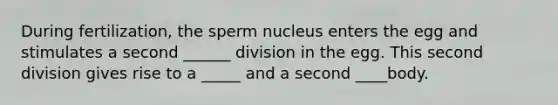 During fertilization, the sperm nucleus enters the egg and stimulates a second ______ division in the egg. This second division gives rise to a _____ and a second ____body.