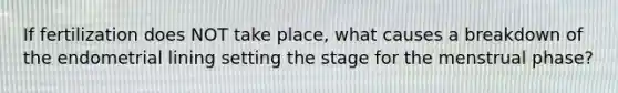 If fertilization does NOT take place, what causes a breakdown of the endometrial lining setting the stage for the menstrual phase?