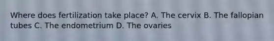 Where does fertilization take place? A. The cervix B. The fallopian tubes C. The endometrium D. The ovaries